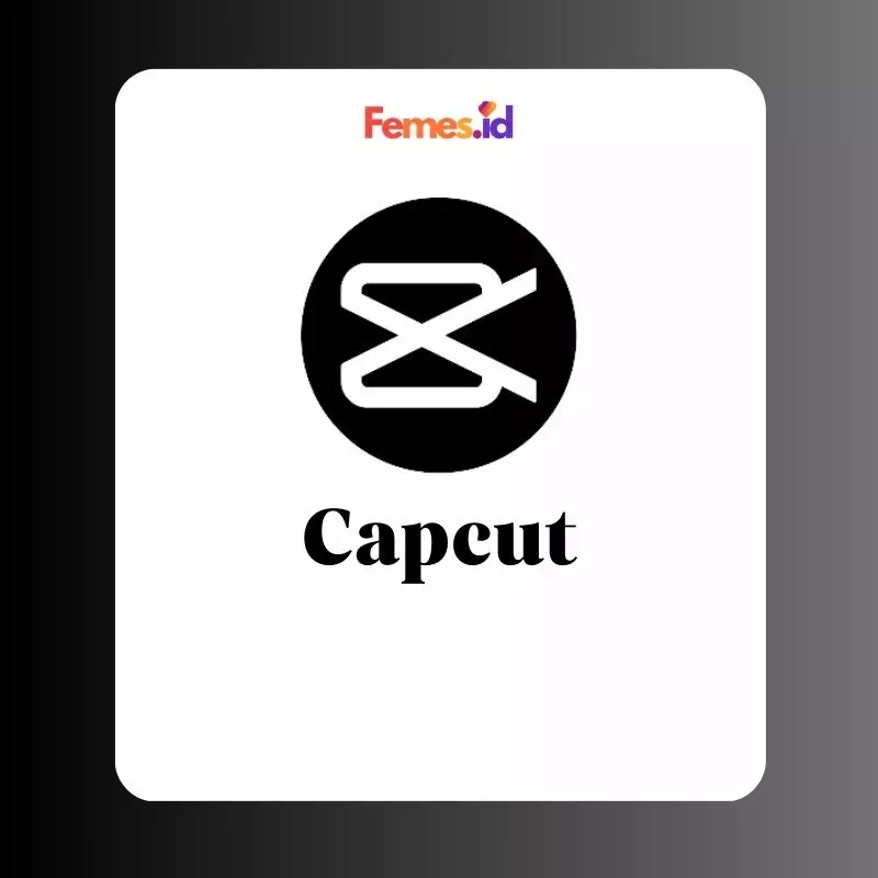 Capcut Pro